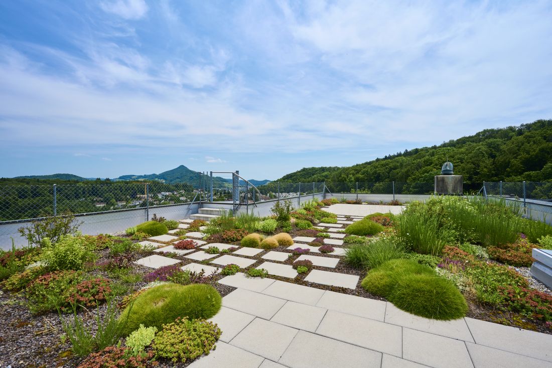 Begrüntes Flachdach