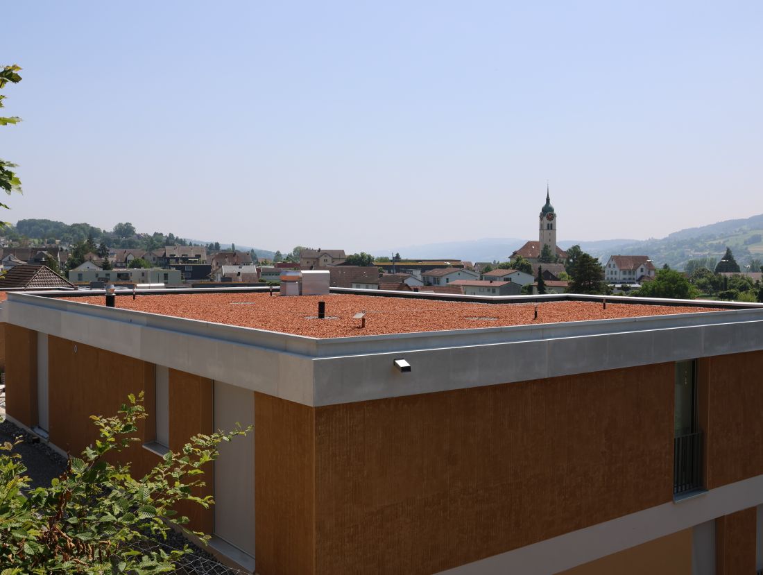 Entwässerung Flachdach