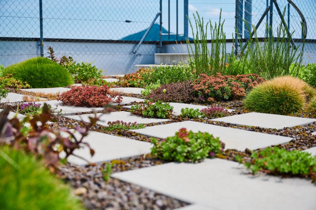 Begrüntes Flachdach