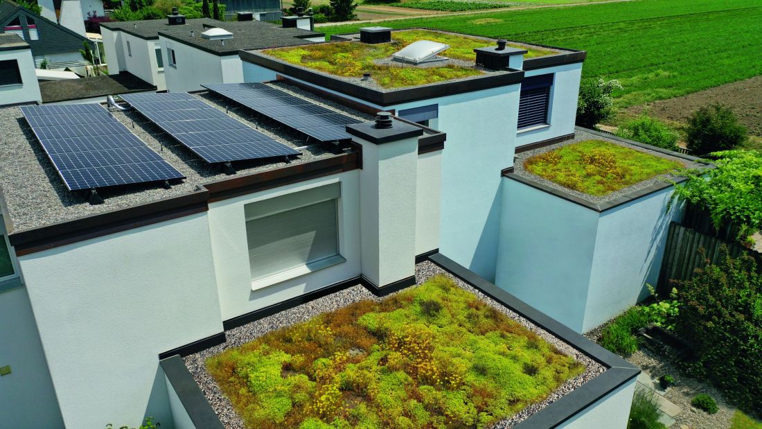 Flachdach begrünt mit PV