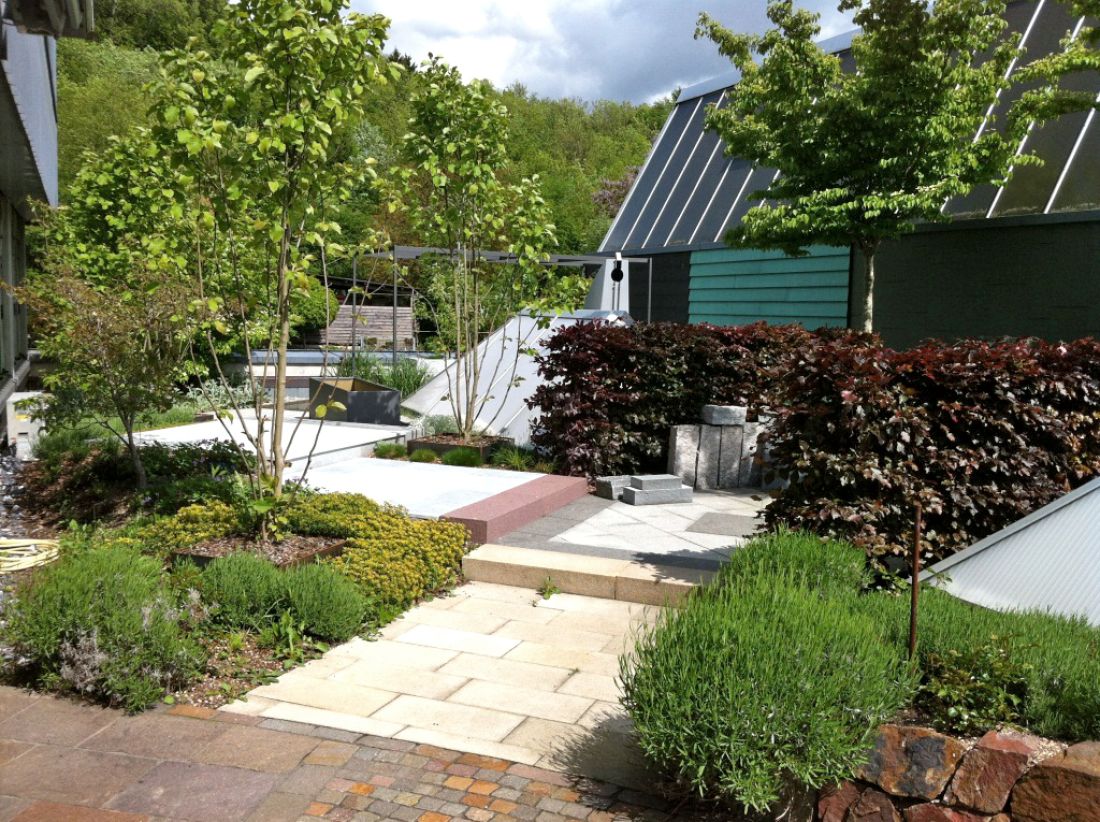 Extensive Dachbegrünung mit Sedum, Kräutern und Gräsern auf Flachdach in Aargau, Schweiz, umgeben von Büschen und Bäumen