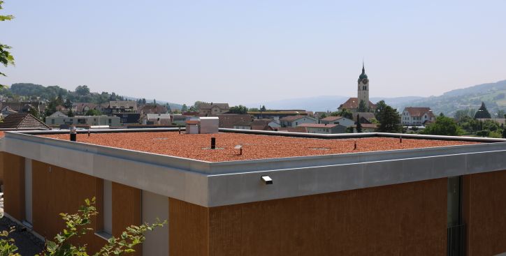 Flachdach-Neubau 