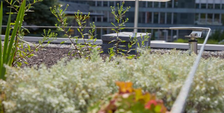 Seilsicherungssysteme