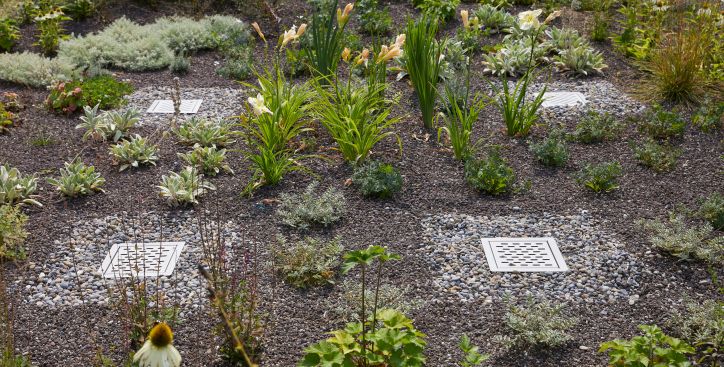 Grundlagen Dachbegrünung 