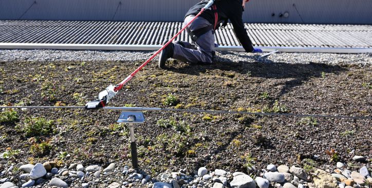 Absturzsicherung warten